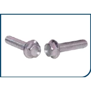 SEAT BOLT BIG UNIVERSAL (12 NO)